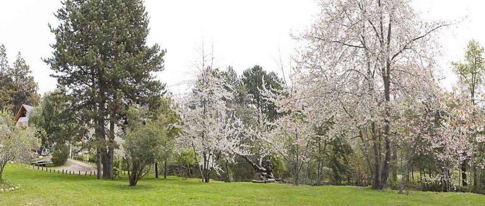 Cabanas Rucaleufu San Martin de los Andes Bagian luar foto