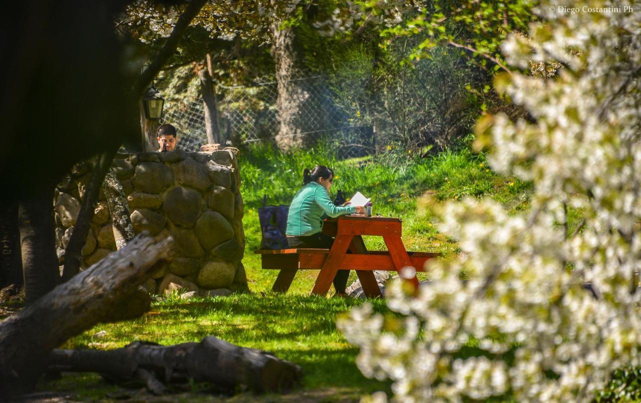 Cabanas Rucaleufu San Martin de los Andes Bagian luar foto